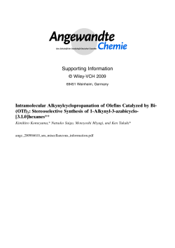 Supporting Information