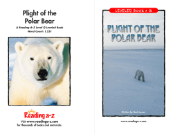 Plight of the Polar Bear