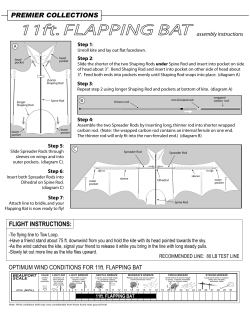 11ft. FLAPPING BAT