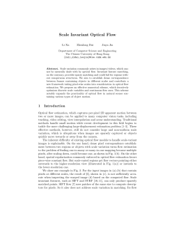 Scale Invariant Optical Flow - Department of Computer Science and