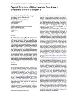 PDF - Laboratory of Structural Biology, Tsinghua University