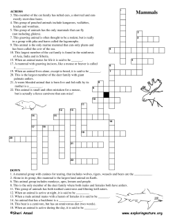 Mammals - Exploring Nature