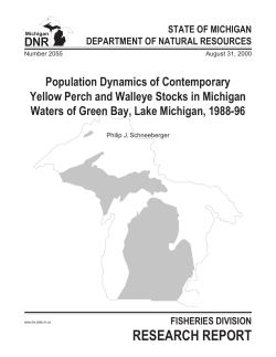 Population Dynamics of Contemporary Yellow Perch
