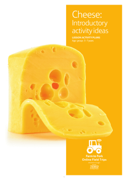 Cheese - The Tesco Eat Happy Project
