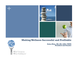 Making Wellness Successful and Profitable