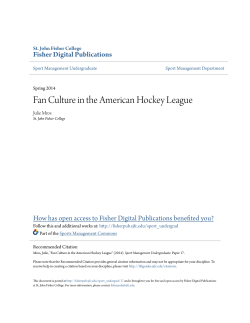 Fan Culture in the American Hockey League