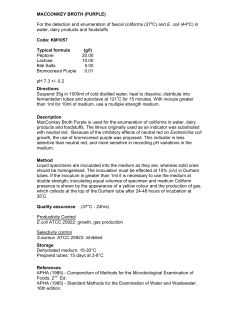 MACCONKEY BROTH (PURPLE)