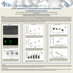 Abstract Conclusion Further analysis Main results Methods