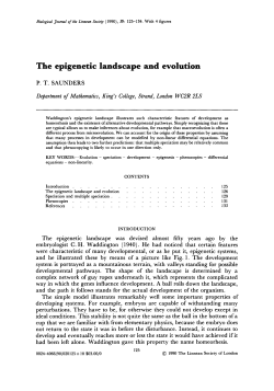 The epigenetic landscape and evolution