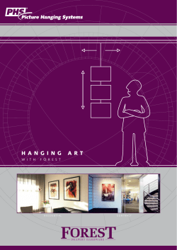 English PHS brochure