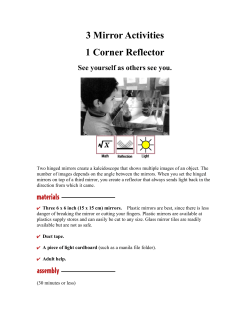 3 Mirror Activities - kaumualii.k12.hi.us