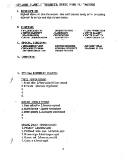 iPLAND PLANT f")1MUNITY: XERIC PINE FL