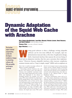 Dynamic Adaptation of the Squid Web Cache with Arachne aspect