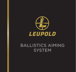 ballistics aiming system
