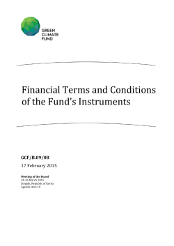 Financial Terms and Conditions of the Fund`s Instruments