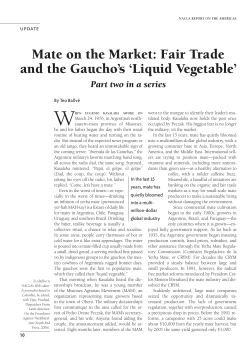 Mate on the Market: Fair Trade and the Gaucho`s `Liquid Vegetable`