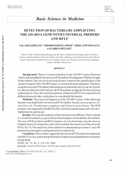 DETECTION OF BACTERIA BY AMPLIFYING THE 16S rRNA