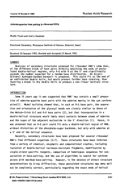 Adenine-guanine base pairing in ribosomal RNA