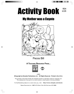 Activity Book REM