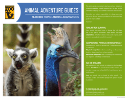 animal adventure guides - Nashville Zoo at Grassmere