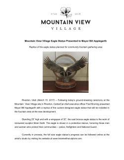 Read more about the Mountain View Village Eagle