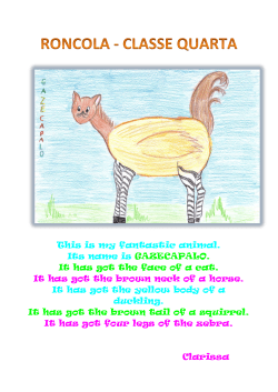 This is my fantastic animal. Its name is GAZECAPALO. It has got the