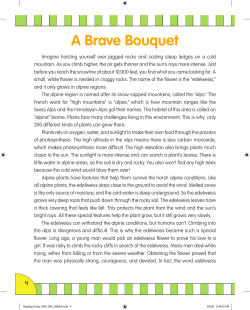 A Brave Bouquet