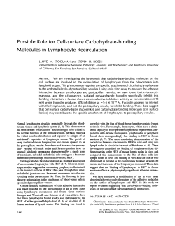 Possible Role for Cell-surface Carbohydrate