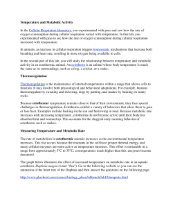Temperature and Metabolic Activity