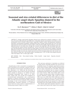 Seasonal and size-related differences in diet of the Atlantic angel