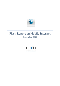 Flash Report on Mobile Internet