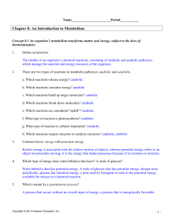 Chapter 8: An Introduction to Metabolism