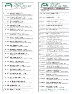 forest city yearling sale lineup forest city yearling sale