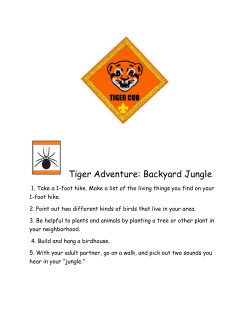 Tiger Adventure: Backyard Jungle