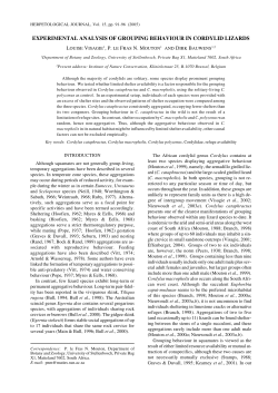 Experimental Analysis of Grouping Behaviour in Cordylid Lizards