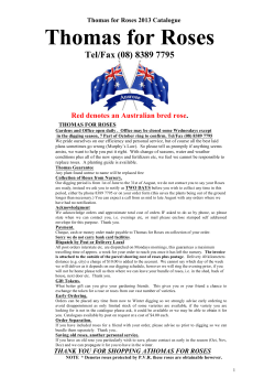 Thomas For Roses 2013 Catalogue Thomas For Roses