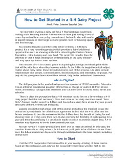 How to Get Started in a 4-H Dairy Project