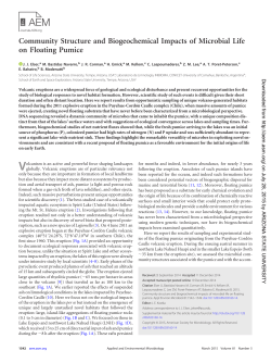 Community Structure and Biogeochemical Impacts of