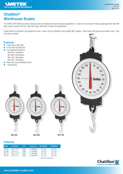 Chatillon&reg; Warehouse Scales