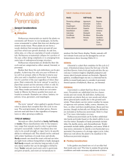 Annuals and Perennials - University of Illinois Extension