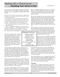 Handling Your Horse`s Feet