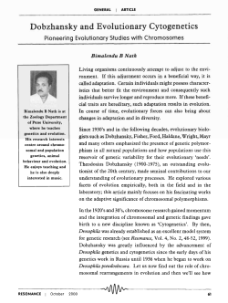 Dobzhansky and Evolutionary Cytogenetics -R-ES-O-N-A-N--CE--