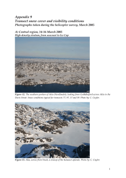 Appendix 9