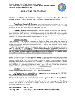 Spring Fish Sale Information