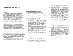 Alligators and How They Live