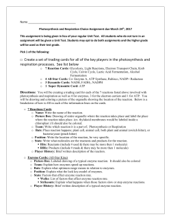 photosynthesis and respiration choice assignment