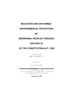 B. WHOSE RIGHTS ARE ENVIRONMENTAL ABORIGINAL AND