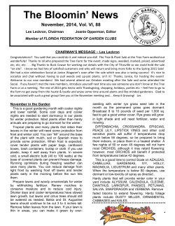 The Bloomin` News