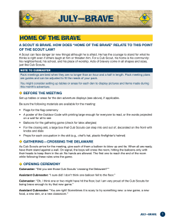 July: Brave - Boy Scouts of America