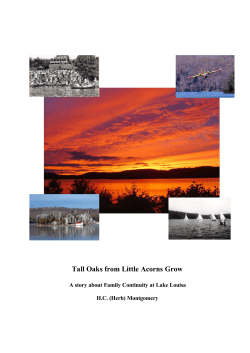 Tall Oaks from Little Acorns Grow